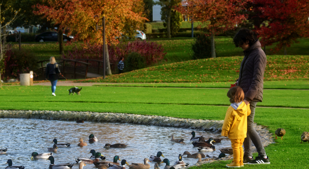 World Urban Parks Board Vacancies & Nominations