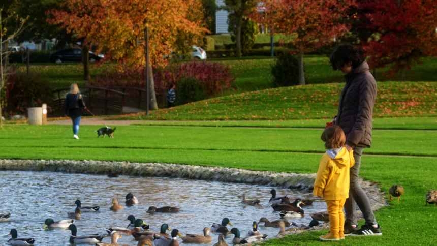 World Urban Parks Board Vacancies & Nominations