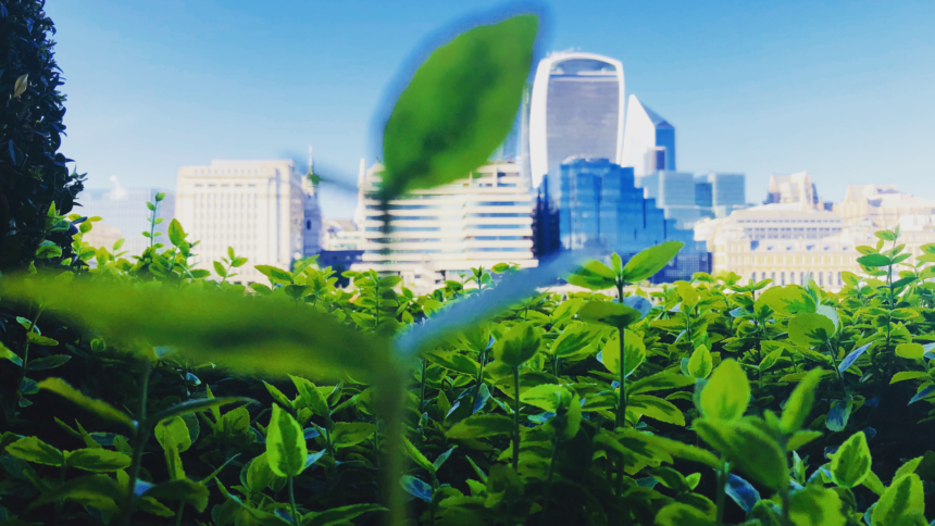 On the Road to Future Green City