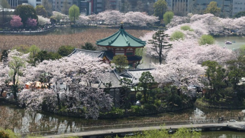 2023 marks the 150th Anniversary of the Establishment of Public Parks in Japan