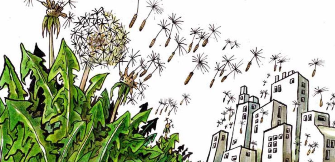 The Symbiotic City