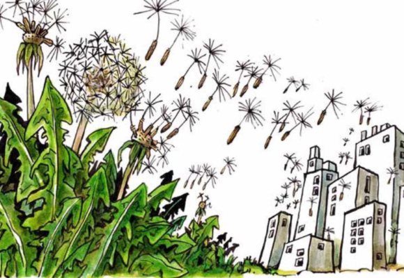 The Symbiotic City