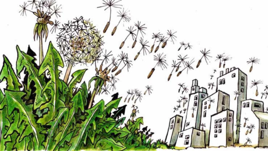 The Symbiotic City