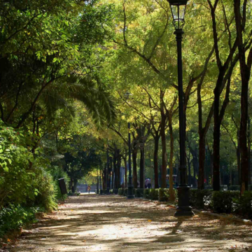 How cell phones can help us make the most of urban green space