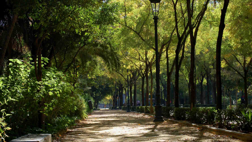 How cell phones can help us make the most of urban green space