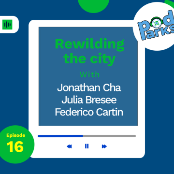 Rewilding the city