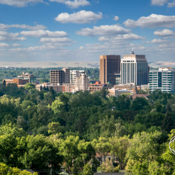 Planting more trees in cities could cut deaths from summer heat, says study