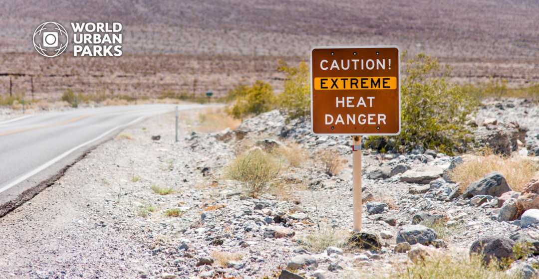 How to adapt your city to extreme heat
