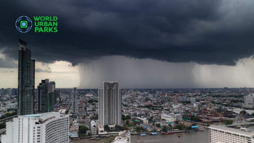 What are “Sponge Cities,” and How Can They Prevent Floods?